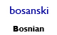 Bosnian Alamo Literature