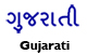 Gujarati Alamo Literature