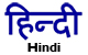 Hindi Alamo Literature