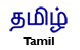 Tamil Alamo Literature